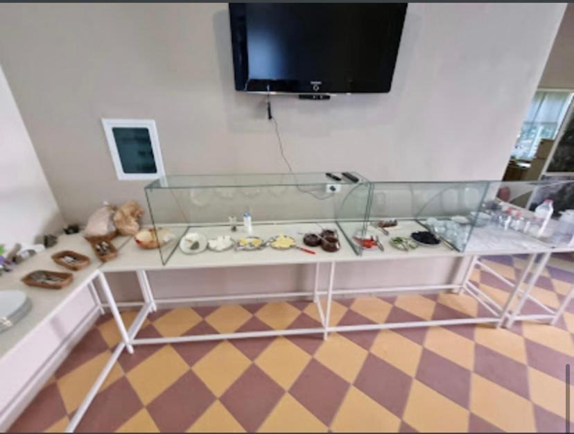 Hotel Vila Nino Berat Esterno foto